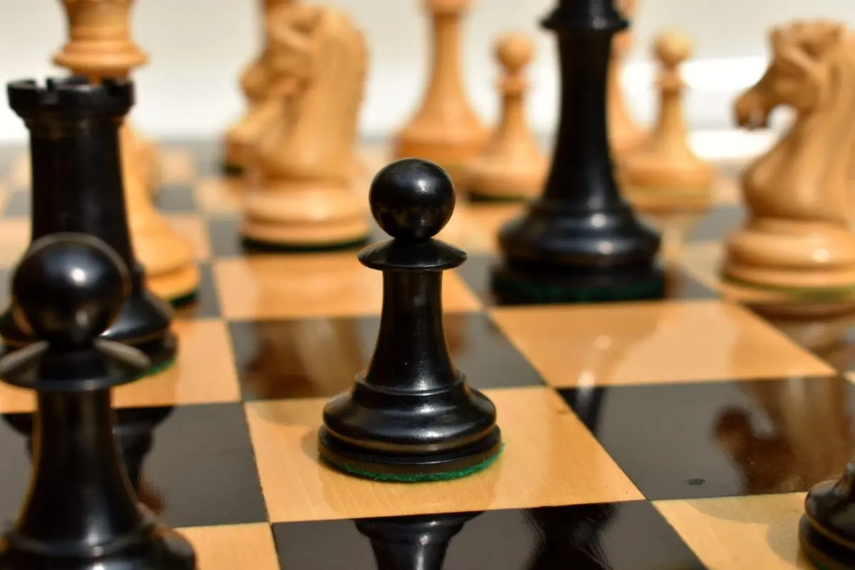 Pezzi Degli Scacchi Staunton &ndash; Sinquefield Cup Series &ndash; Ebano E Bosso &ndash; AntiqueChessCrafts