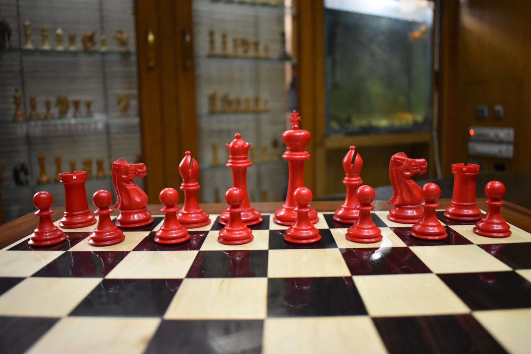 The Bone Staunton Chess Pieces Natural Bone & Red Stained Bone 3.5" King-3062