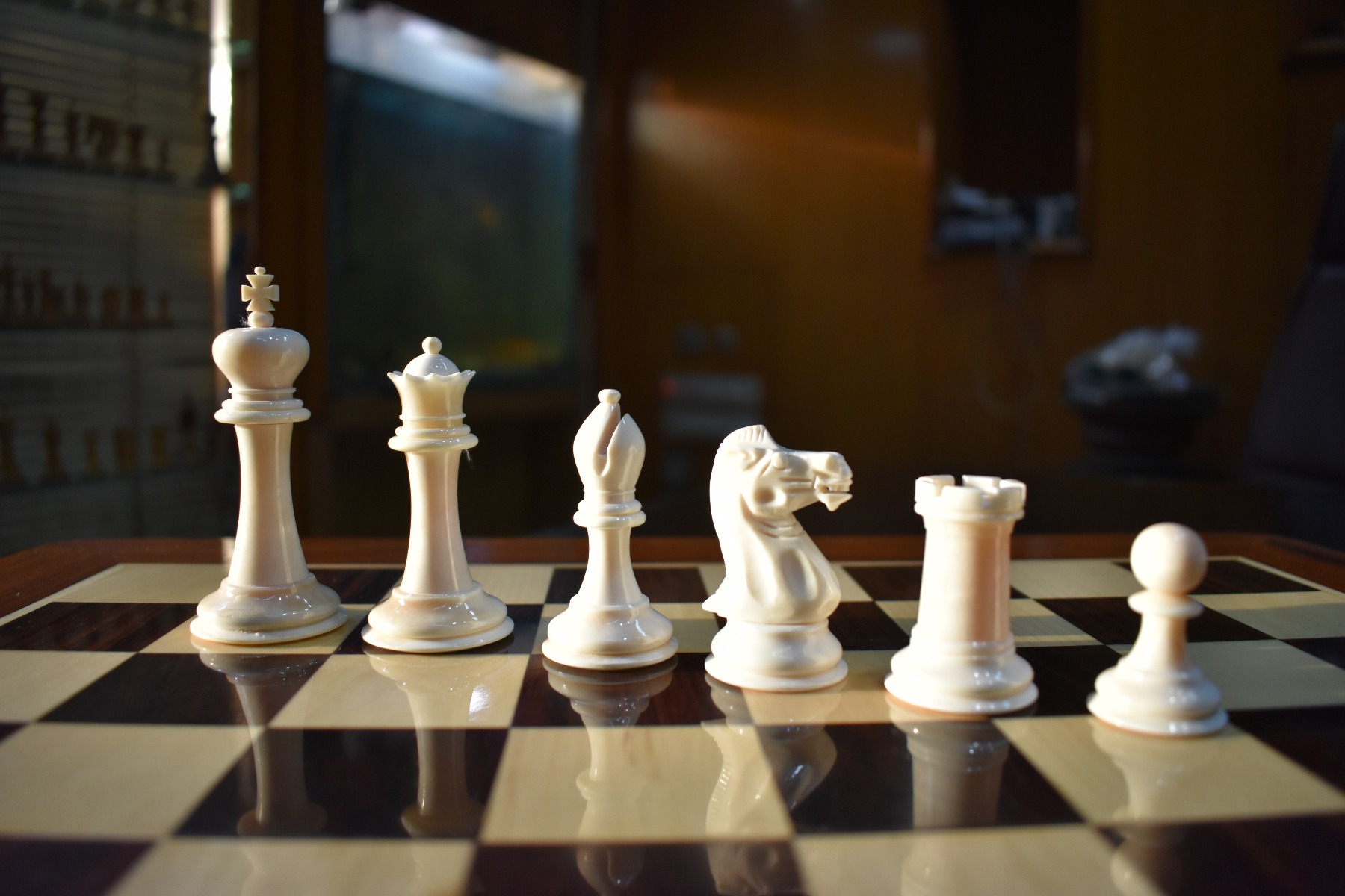 The Bone Staunton Chess Pieces <br> Natural Bone & Black <br> 3.5" King-0 The Bone Staunton Chess Pieces Natural Bone & Black 3.5" King-0