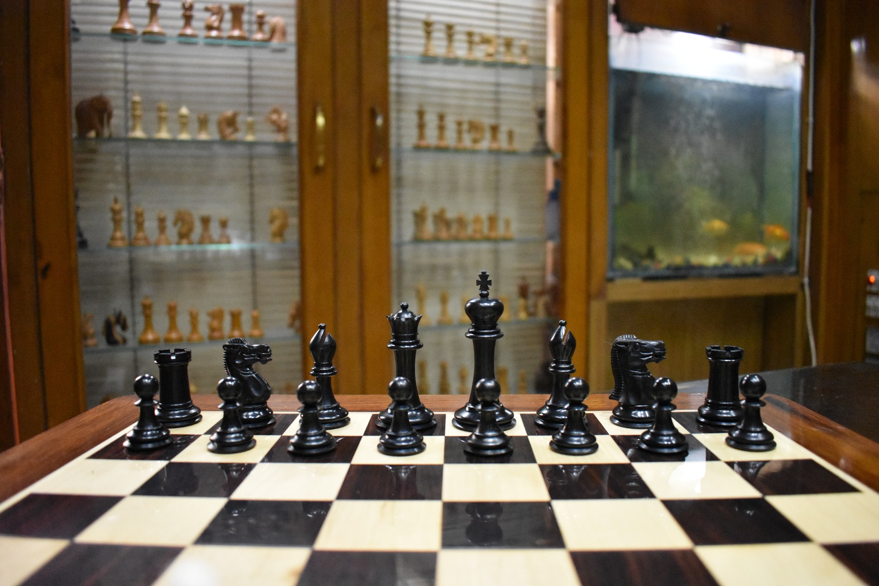 The Bone Staunton Chess Pieces <br> Natural Bone & Black <br> 3.5" King-3056 The Bone Staunton Chess Pieces Natural Bone & Black 3.5" King-3056