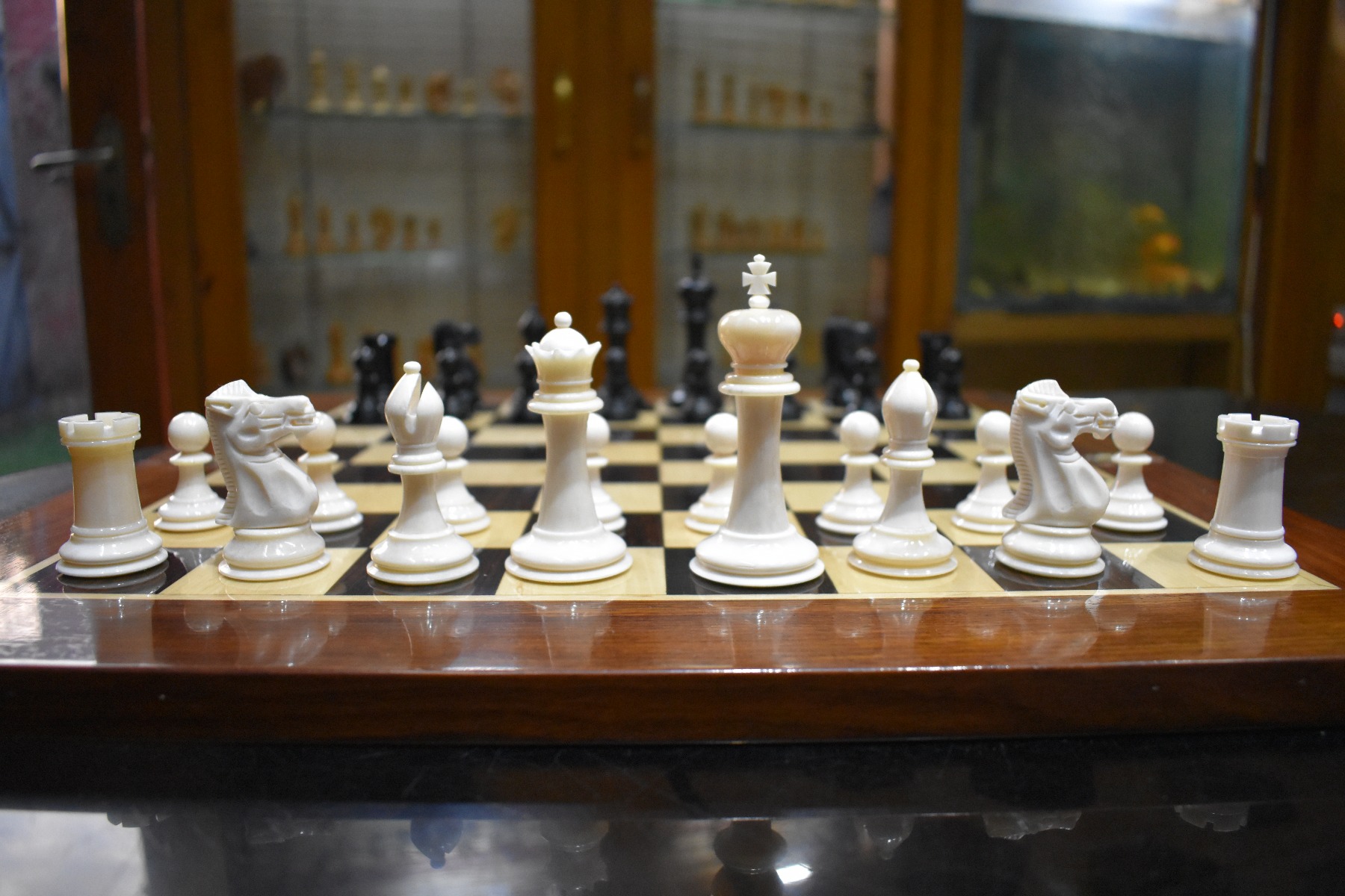 The Bone Staunton Chess Pieces <br> Natural Bone & Black <br> 3.5" King-3058 The Bone Staunton Chess Pieces Natural Bone & Black 3.5" King-3058